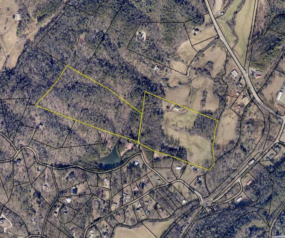 141 Doc Roof Rd, Mineral Bluff, GA for sale Primary Photo- Image 1 of 13