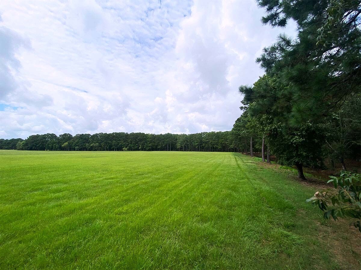 6227 Josie Ridge, Wadmalaw Island, SC for sale Primary Photo- Image 1 of 1