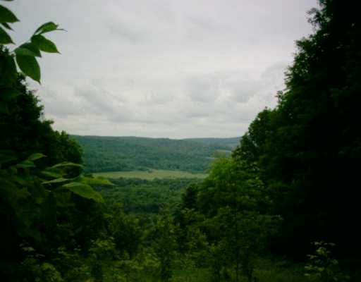 Poverty Hill Rd, Ellicottville, NY for sale - Building Photo - Image 1 of 1
