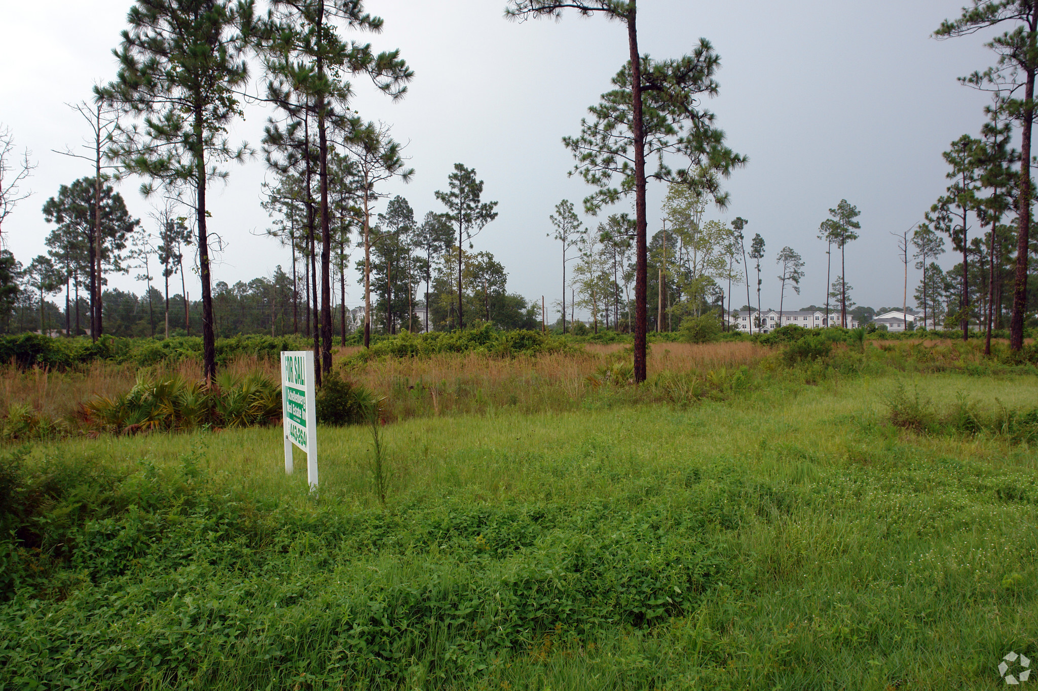 10587 N US 1, Saint Augustine, FL for sale Primary Photo- Image 1 of 1