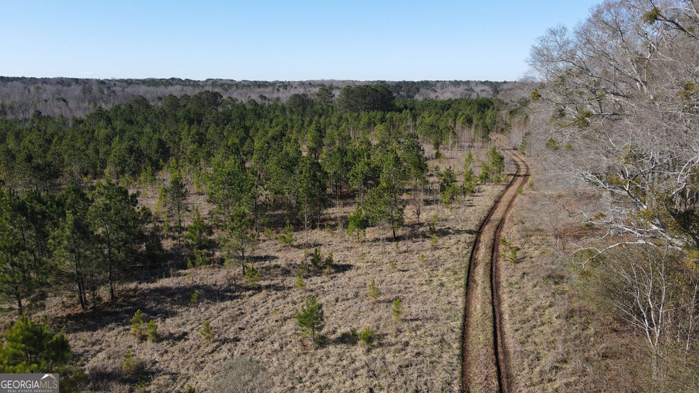 0 Old Chipey Rd, Pine Mountain, GA for sale - Aerial - Image 1 of 5