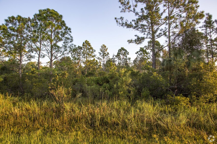 8010 Buckingham Rd, Fort Myers, FL 33905