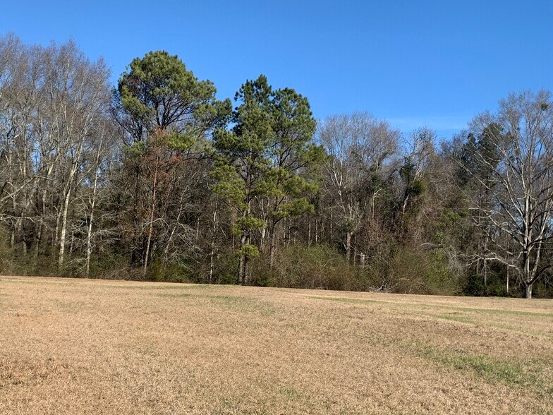 8967 Montgomery Hwy, Luverne, AL 36049