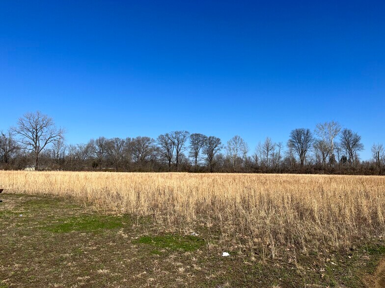 2030 Upper Finley Rd, Dyersburg, TN 38024 Land for Sale
