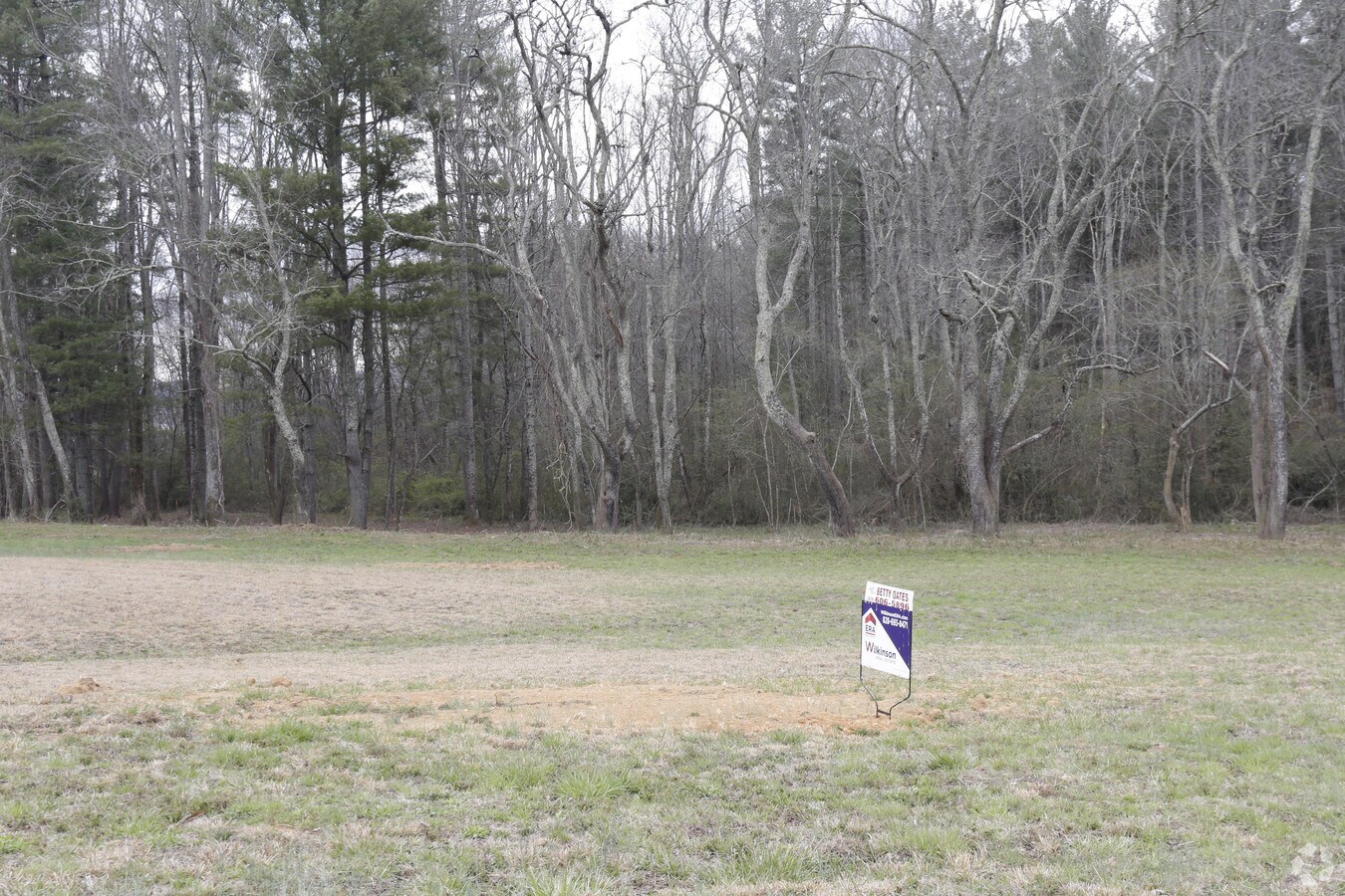 10 Brandy Branch Rd, Mills River, NC 28759