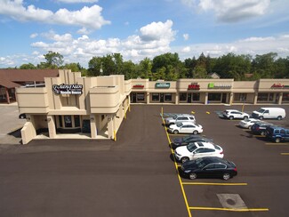 More details for 29208-29222 Orchard Lake Rd, Farmington Hills, MI - Retail for Lease