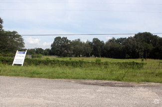 More details for 11102 N US Highway 301, Thonotosassa, FL - Land for Sale