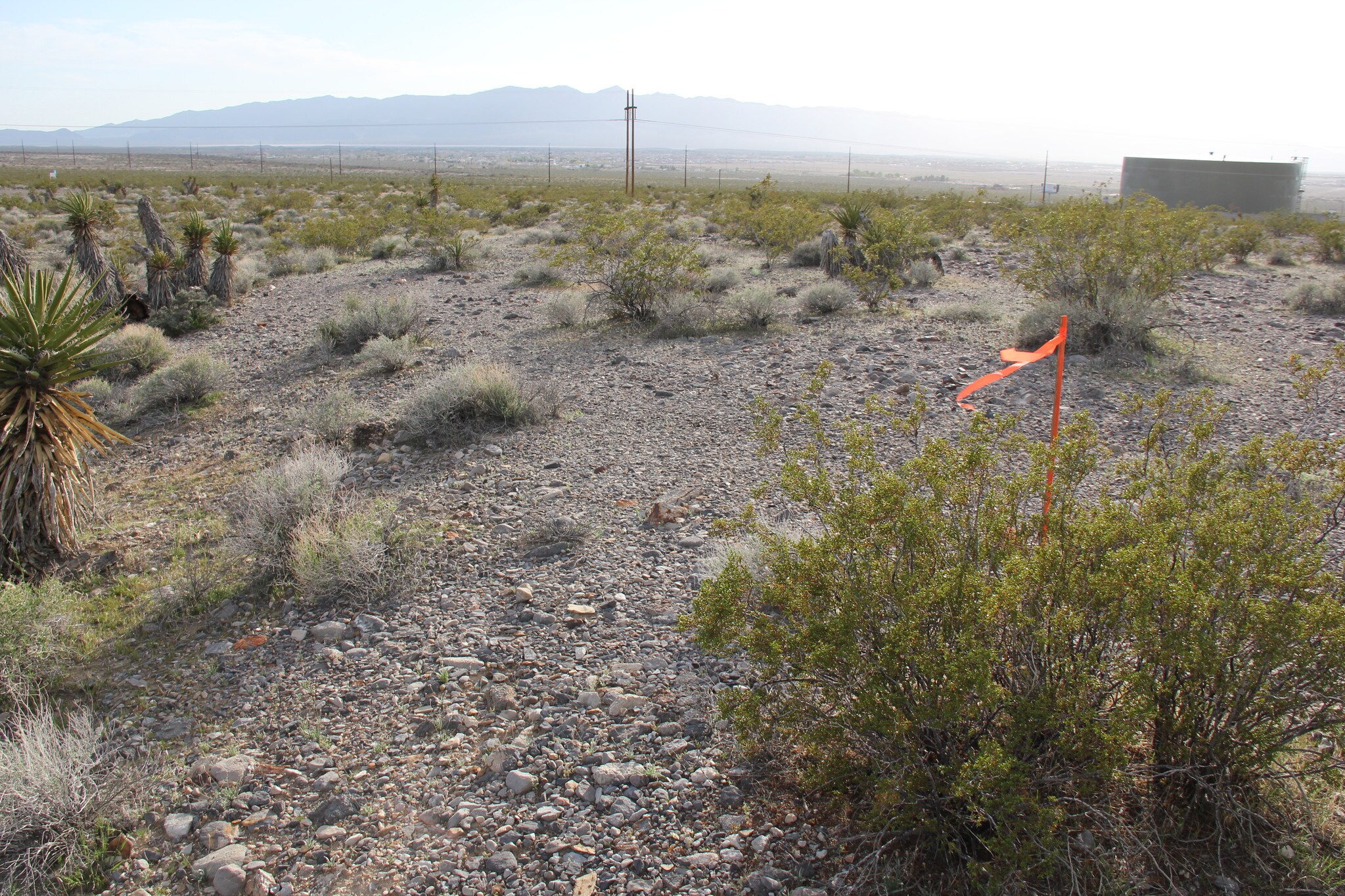 7431 E Manse Rd, Pahrump, NV for sale Primary Photo- Image 1 of 1