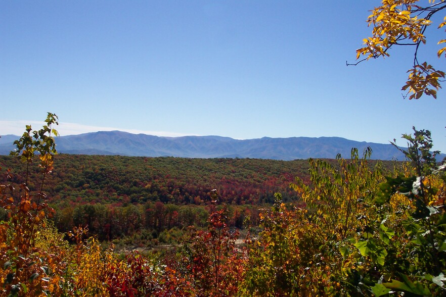 English Mountain Rd, Newport, TN for sale - Primary Photo - Image 1 of 1