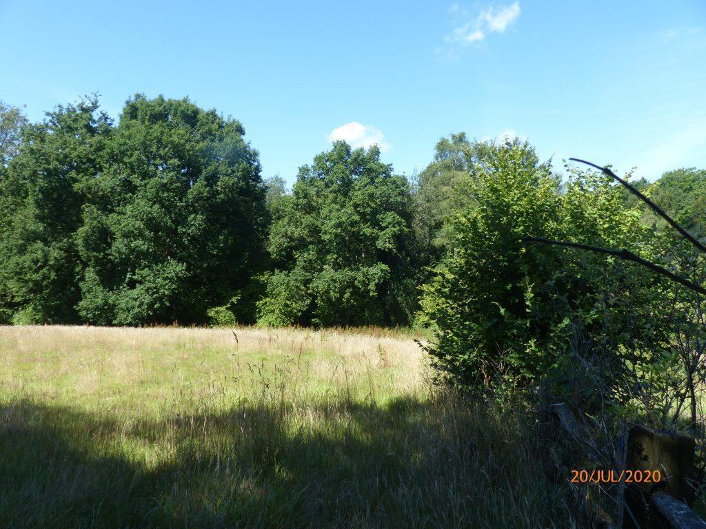 Halsinger, Braunton for sale Building Photo- Image 1 of 18