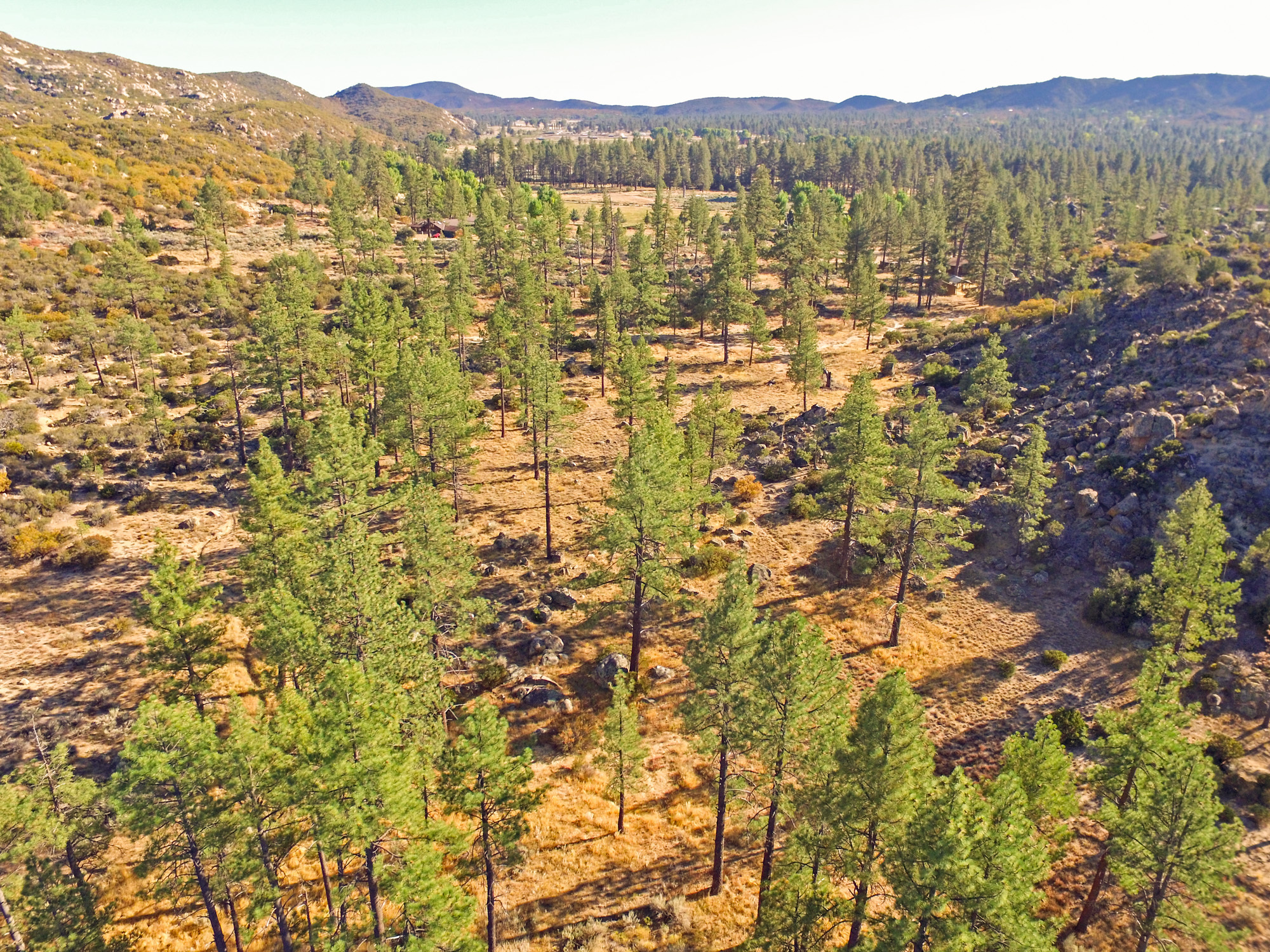 60795 Table Mountain Road Rd, Mountain Center, CA for sale Building Photo- Image 1 of 1