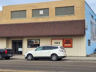 More details for 206 Minnesota Ave W, Sebeka, MN - Retail for Sale