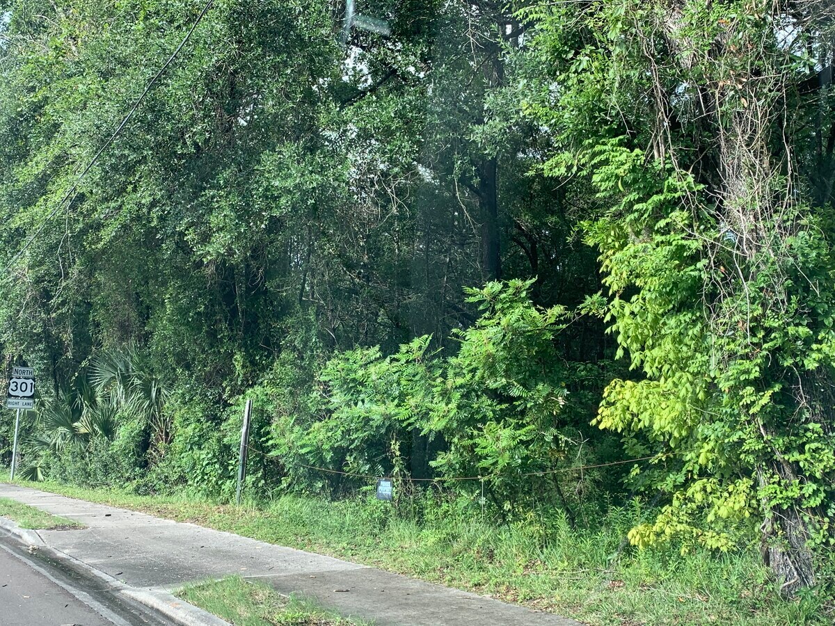 NE Ambrose Addn To Waldo, Waldo, FL 32694