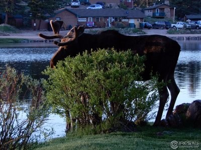 1078 Ramona Dr, Red Feather Lakes, CO for sale - Building Photo - Image 1 of 1