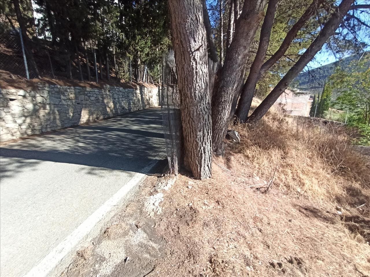 Land in Jamilena for sale Building Photo- Image 1 of 16