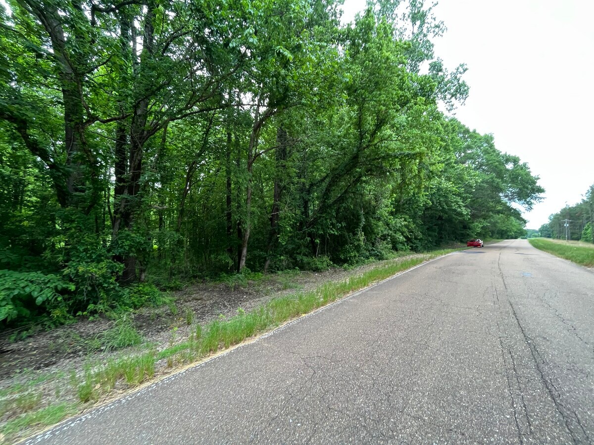 15170 Arkabutla, Sarah, MS 38665 Land for Sale