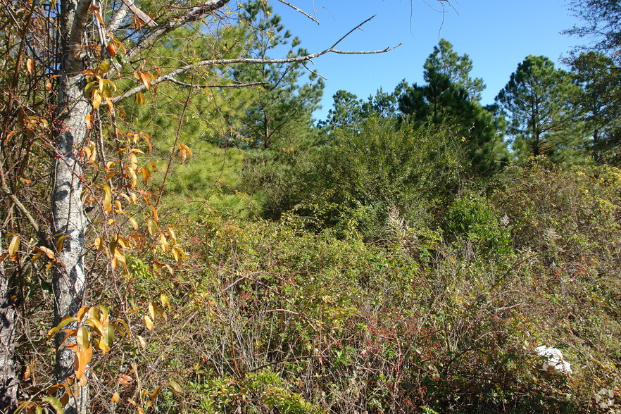 3320 Whiskey Rd, Aiken, SC for sale - Primary Photo - Image 1 of 1