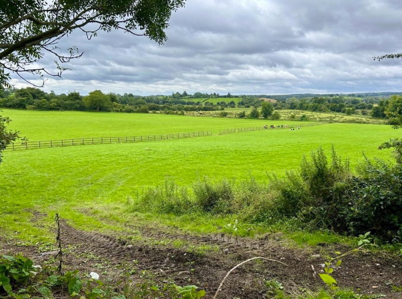 9 Ravella Rd, Aughnacloy for sale Other- Image 1 of 4