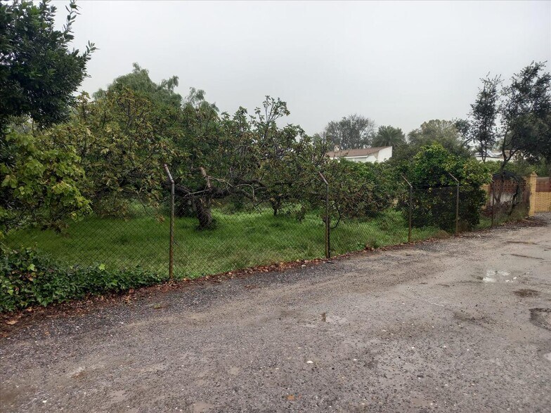 Land in Bollullos de la Mitación for sale - Building Photo - Image 3 of 7