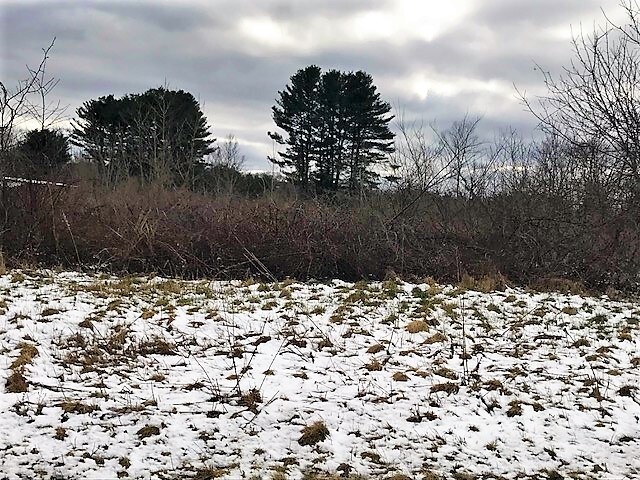 Millbrook Rd, Plainfield, CT for sale Other- Image 1 of 1