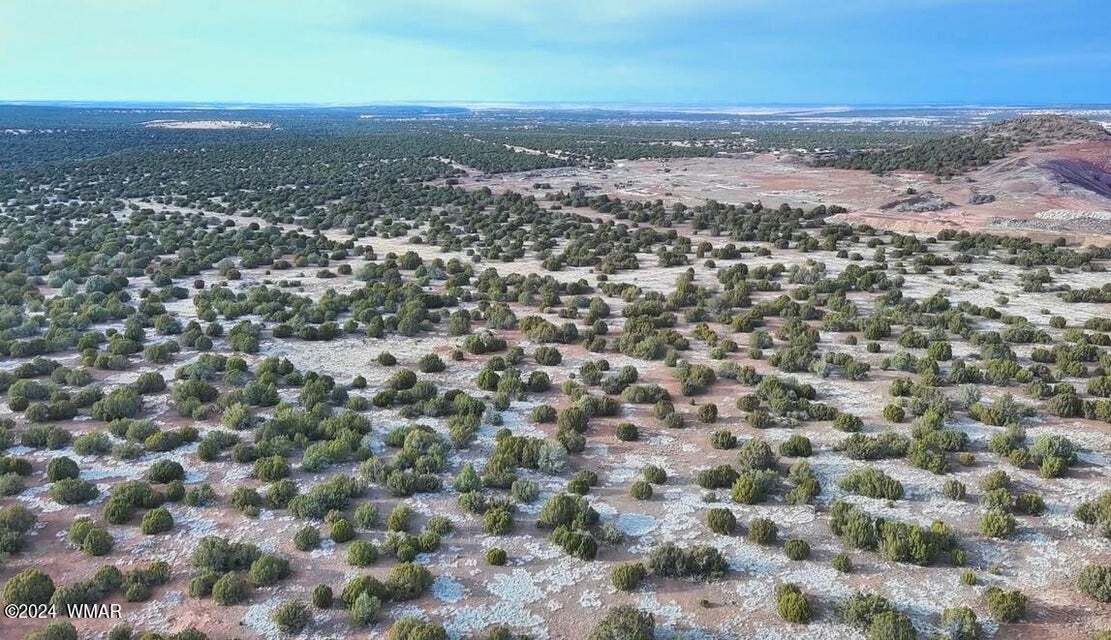 TBD Bourdon Ranch Road, Show Low, AZ 85901 TBD Bourdon Ranch Show Low