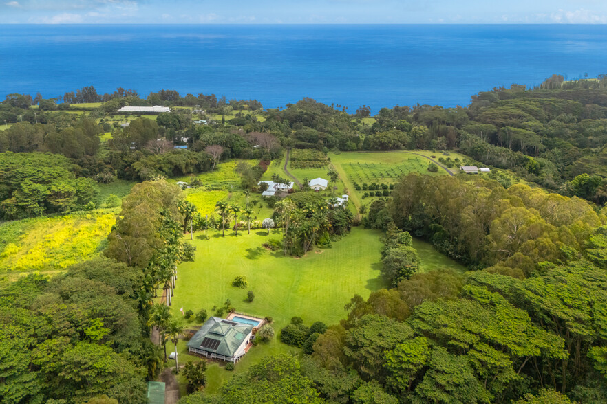 29-2115 Old Mamalahoa Hwy, Hakalau, HI for sale - Building Photo - Image 2 of 23