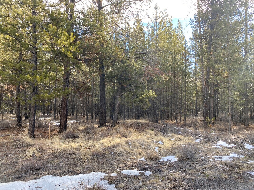 55170 Pinewood Ave, Bend, OR 97707