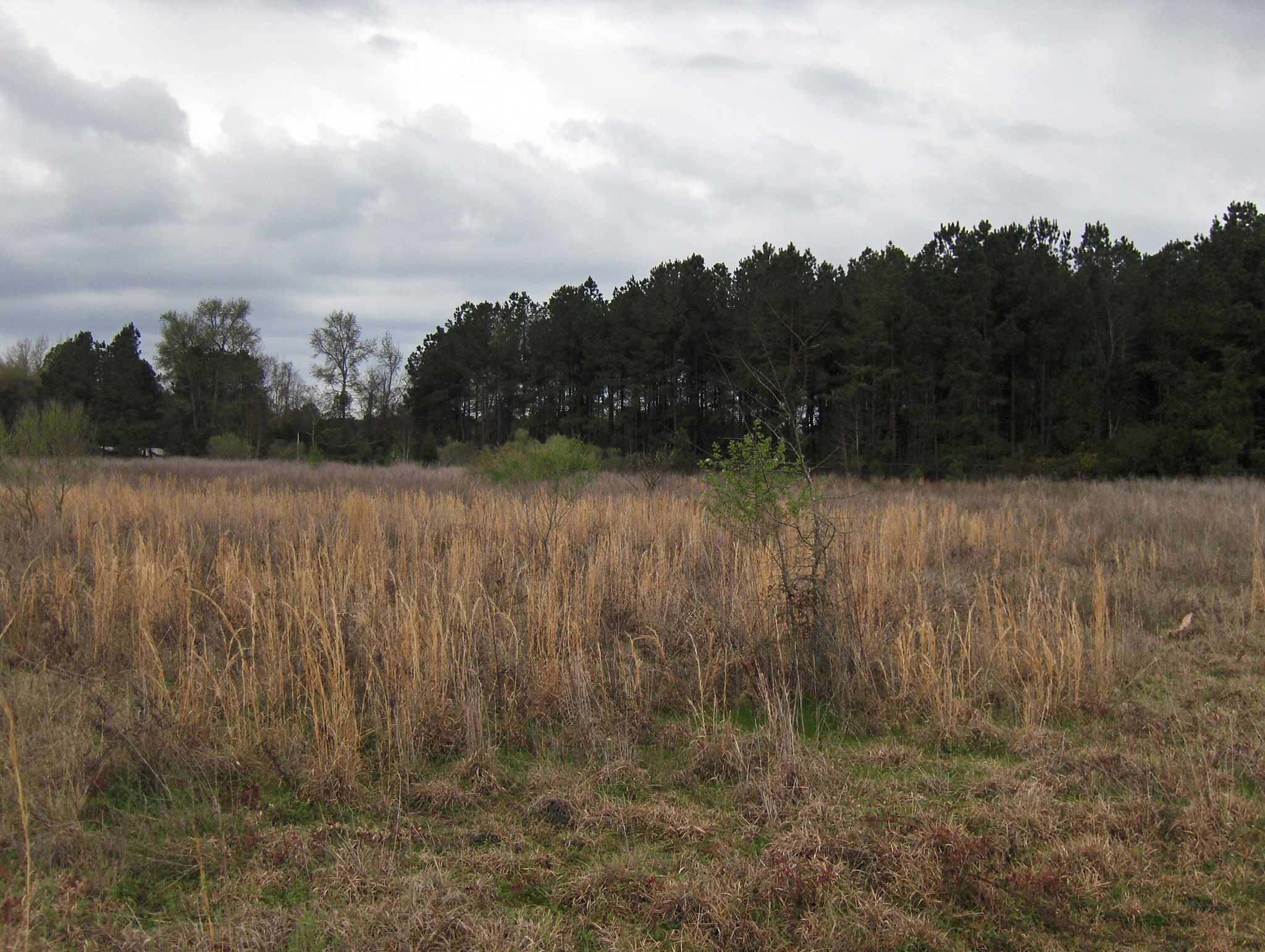 2710 Broad St, Sumter, SC for sale Building Photo- Image 1 of 1