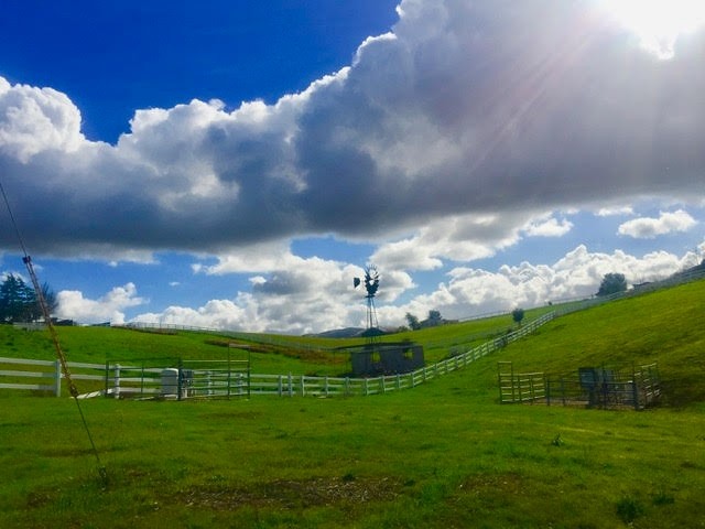 4 Little Valley Rd, Sunol, CA for sale Other- Image 1 of 1