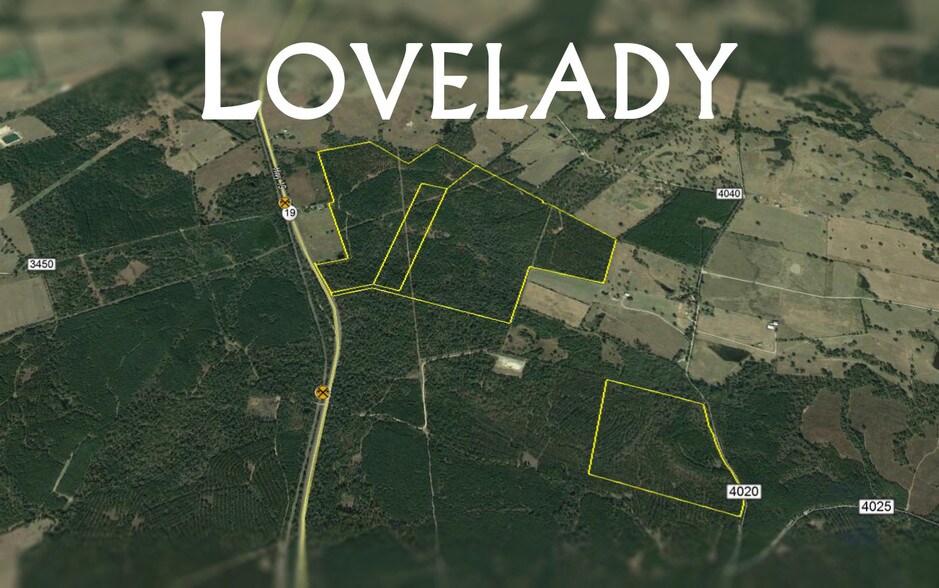 County Road 4020, Lovelady, TX 75851 Land Property for Sale