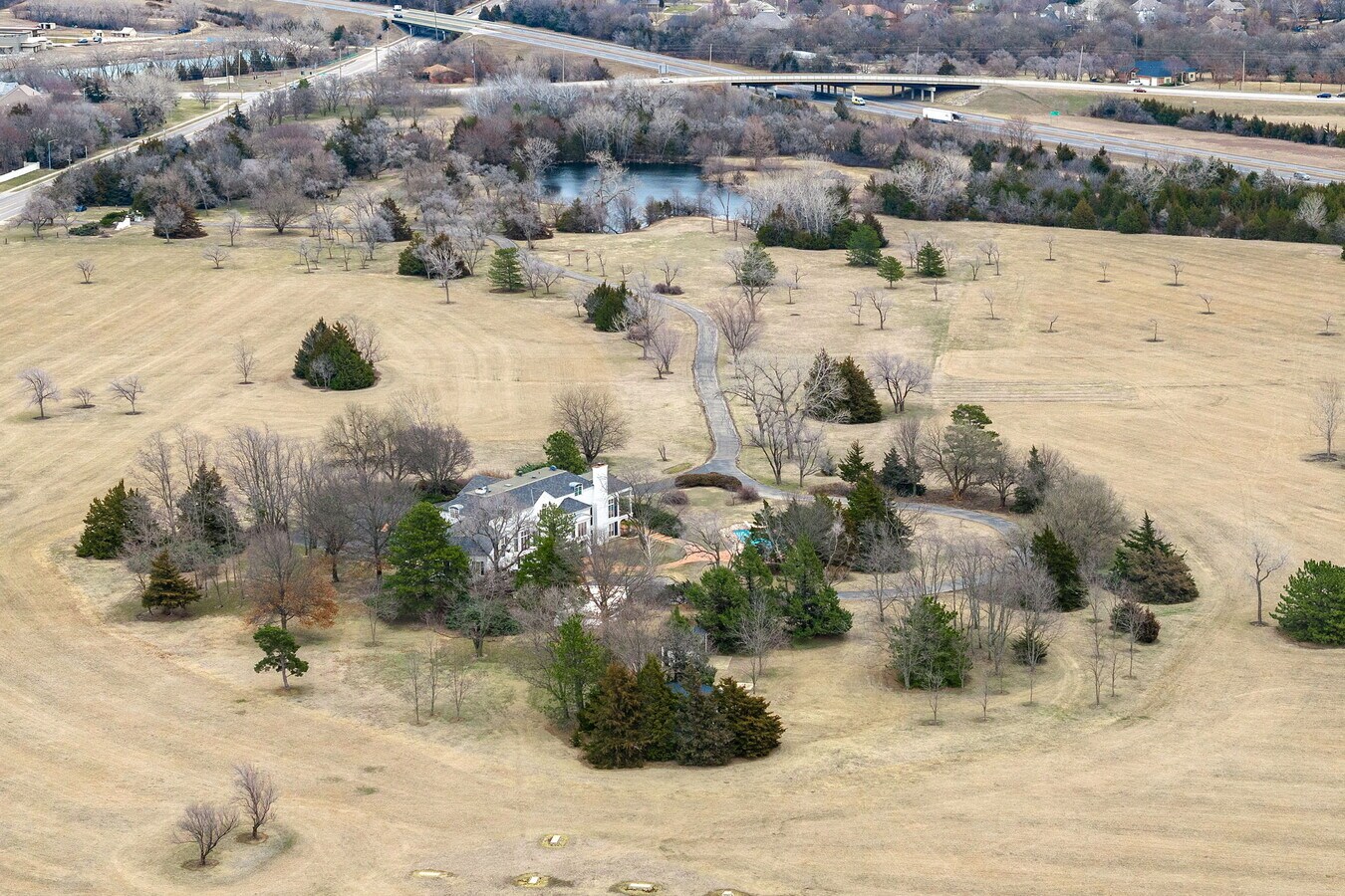 Primary Photo
