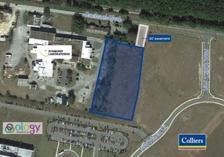 More details for 13101 Rachael Blvd, Alachua, FL - Land for Sale