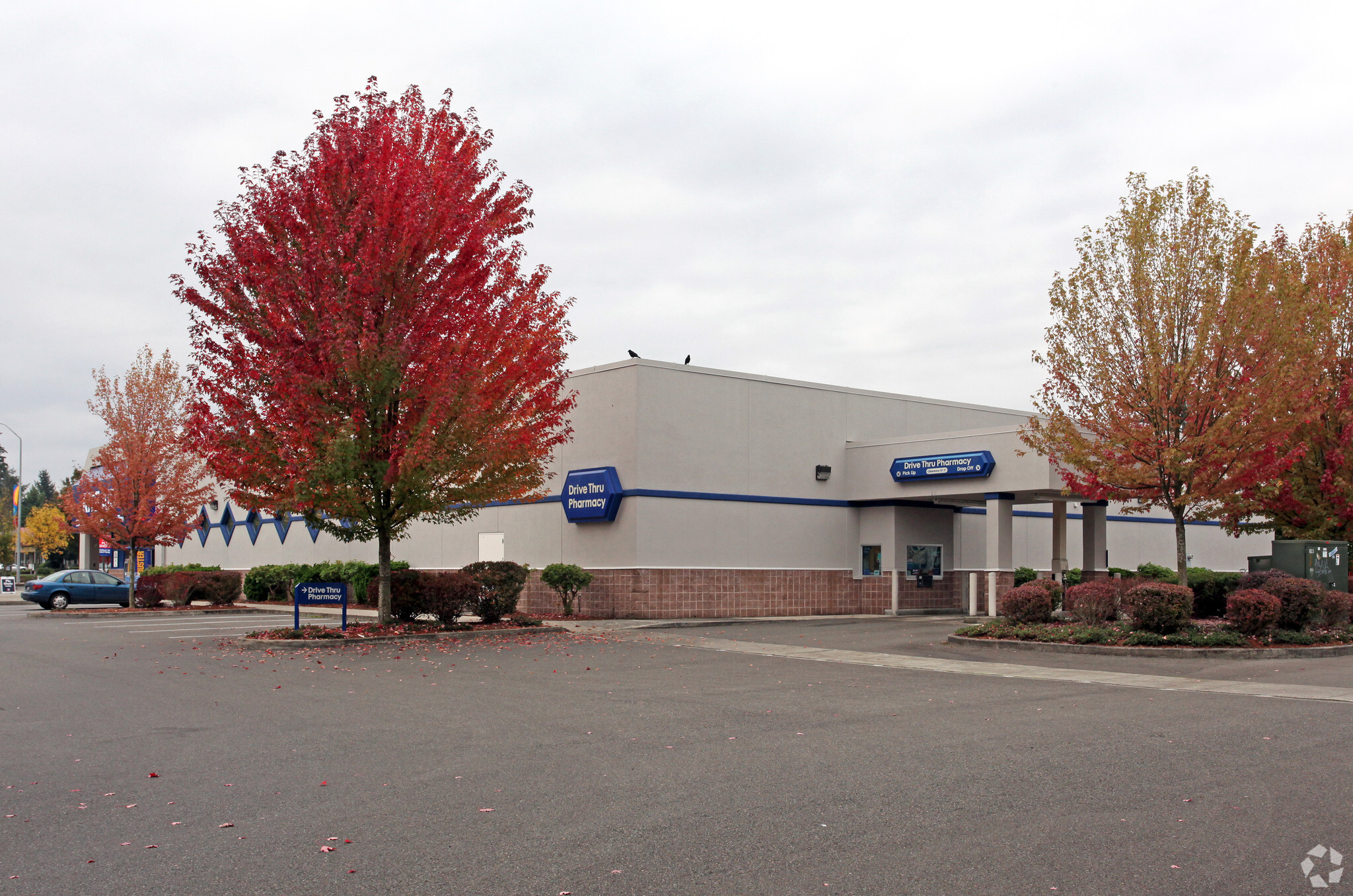 8230 Martin Way E, Lacey, WA for lease Building Photo- Image 1 of 5