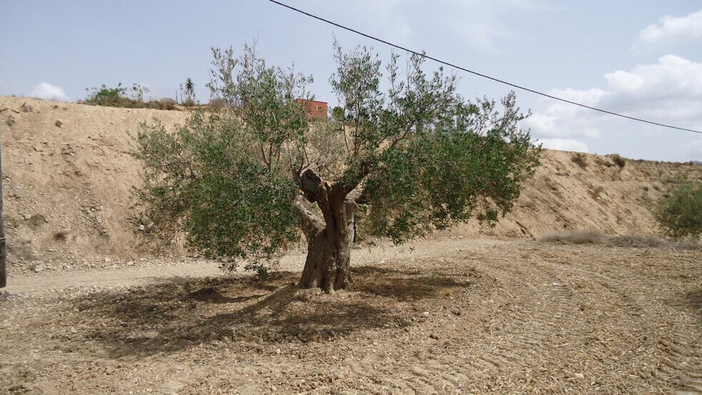 Land in Abanilla for sale - Building Photo - Image 3 of 31