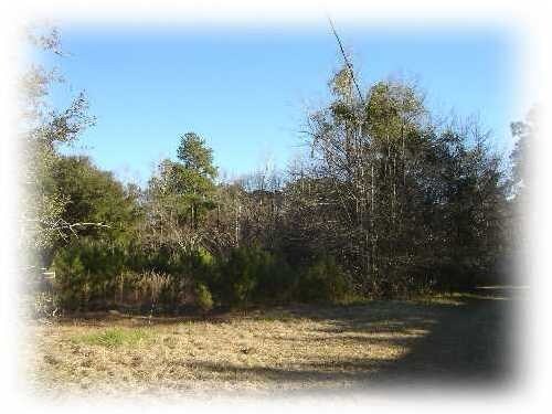 2525 Highway 17A, Summerville, SC for sale Building Photo- Image 1 of 1