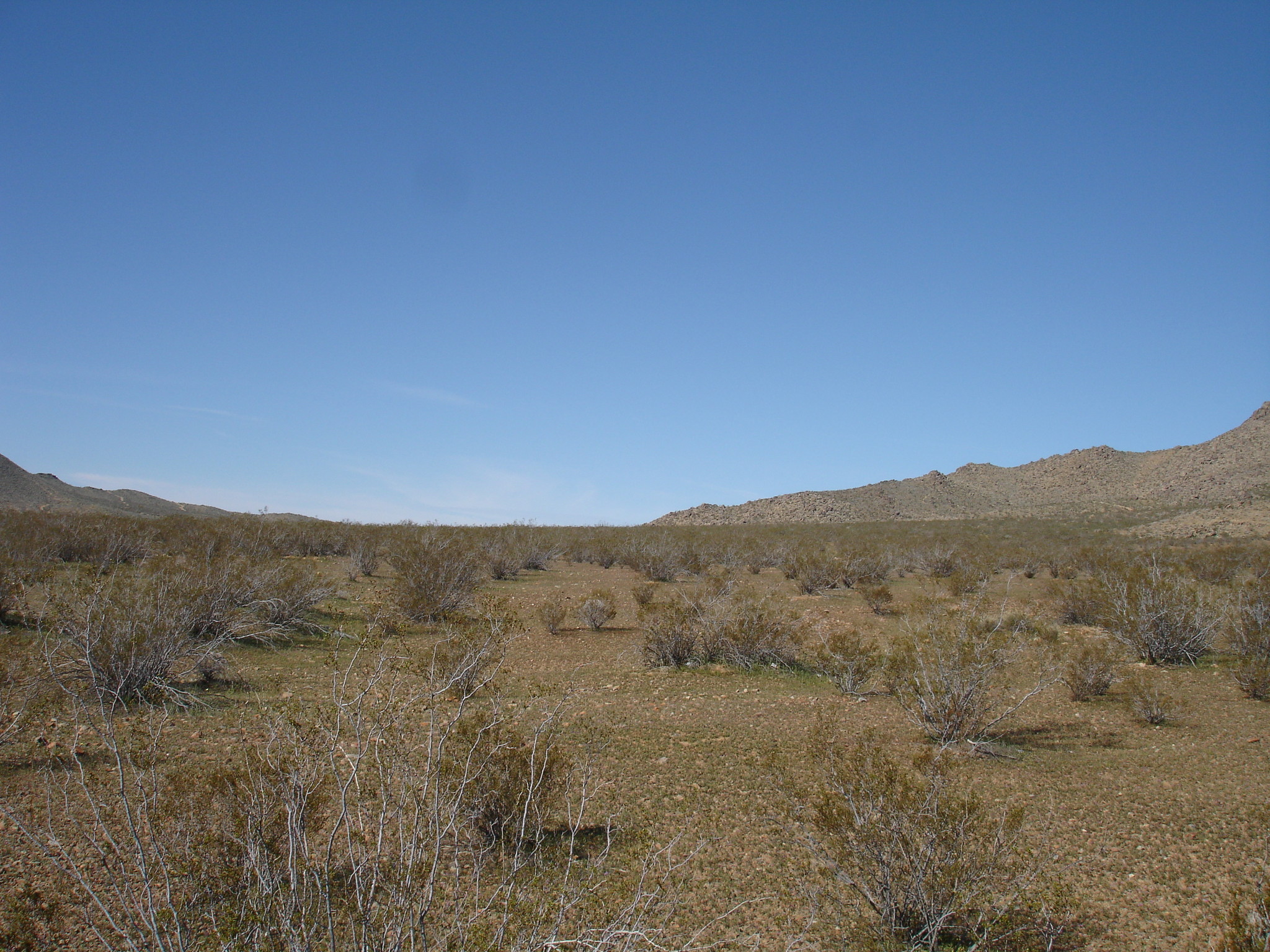 Dale Evans Pky, Apple Valley, CA for sale Building Photo- Image 1 of 1