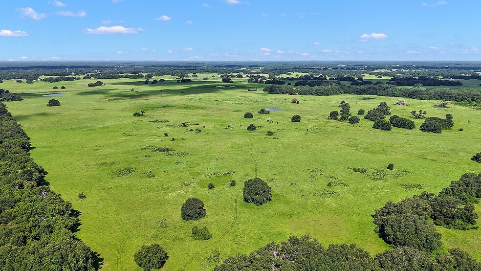8919 State Road 471, Webster, FL for sale - Building Photo - Image 2 of 17
