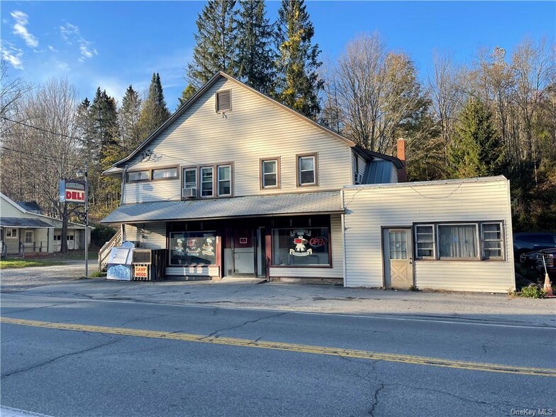 164 Main street, Grahamsville, NY for sale - Primary Photo - Image 1 of 1