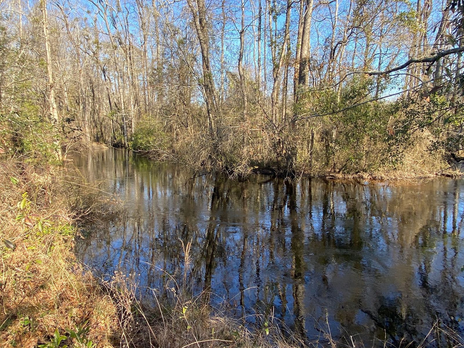 6000 Fairley, Maxton, NC 28364 229.58 +/ Acres in Robeson County, NC