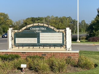 More details for 119 W Gilmer Rd, Lake Zurich, IL - Office/Retail for Lease