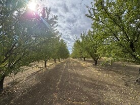 Esparto Almonds - Owner Financed Property