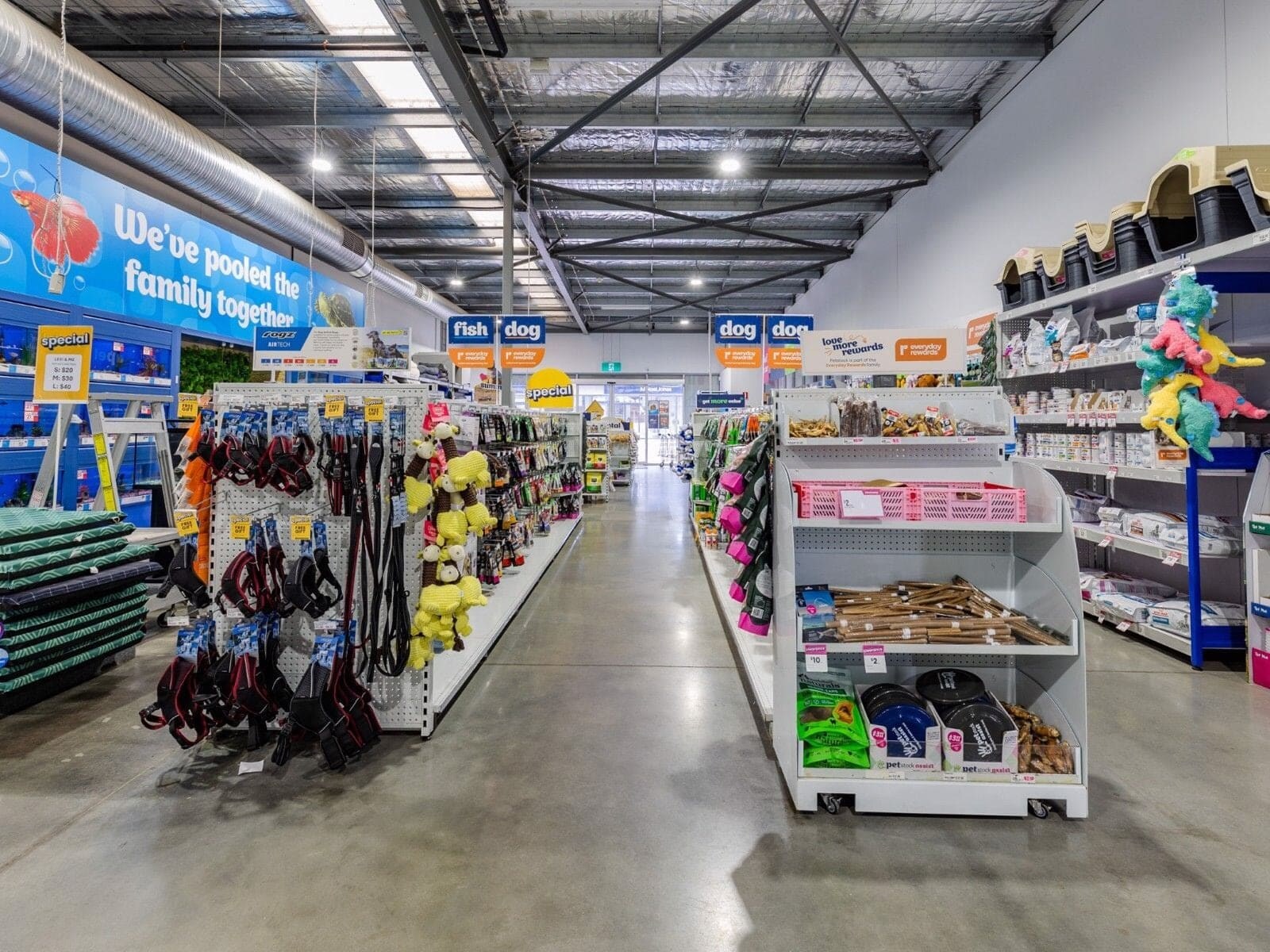 313 Middleborough Rd, Box Hill South for lease Interior Photo- Image 1 of 3