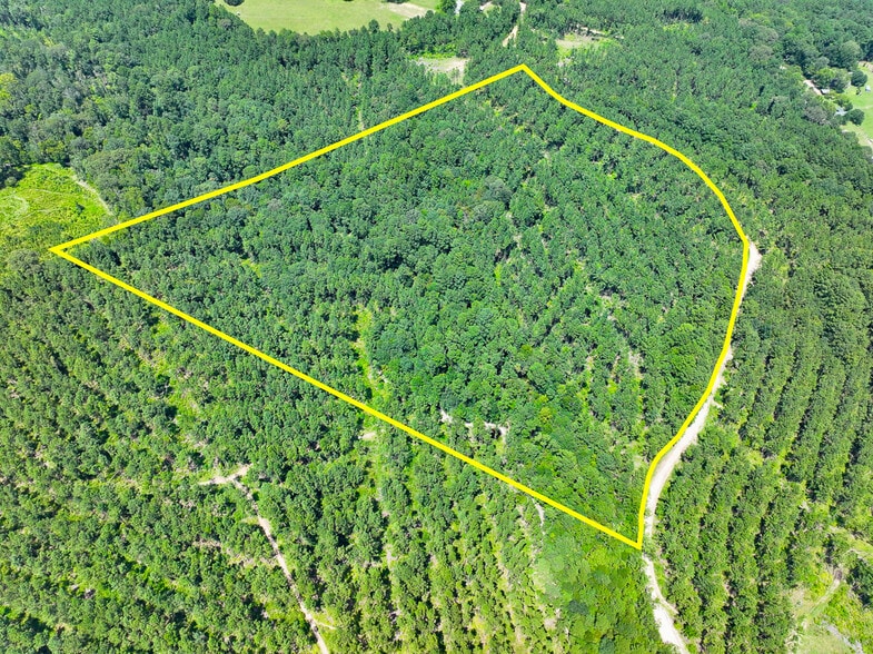 0 Slim Palmer Road, Zavalla, TX for sale - Building Photo - Image 2 of 20