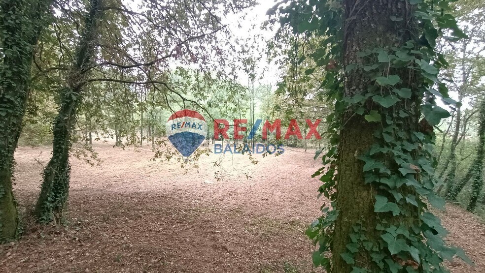 Land in O Porriño, Pontevedra for sale - Building Photo - Image 3 of 19