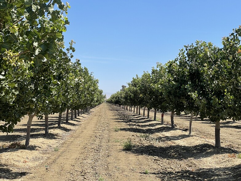 45900 Block Shields Ave, Firebaugh, CA for sale - Building Photo - Image 1 of 9