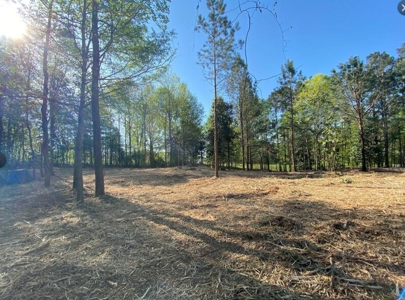 397 Owens Store Rd, Canton, GA 30115