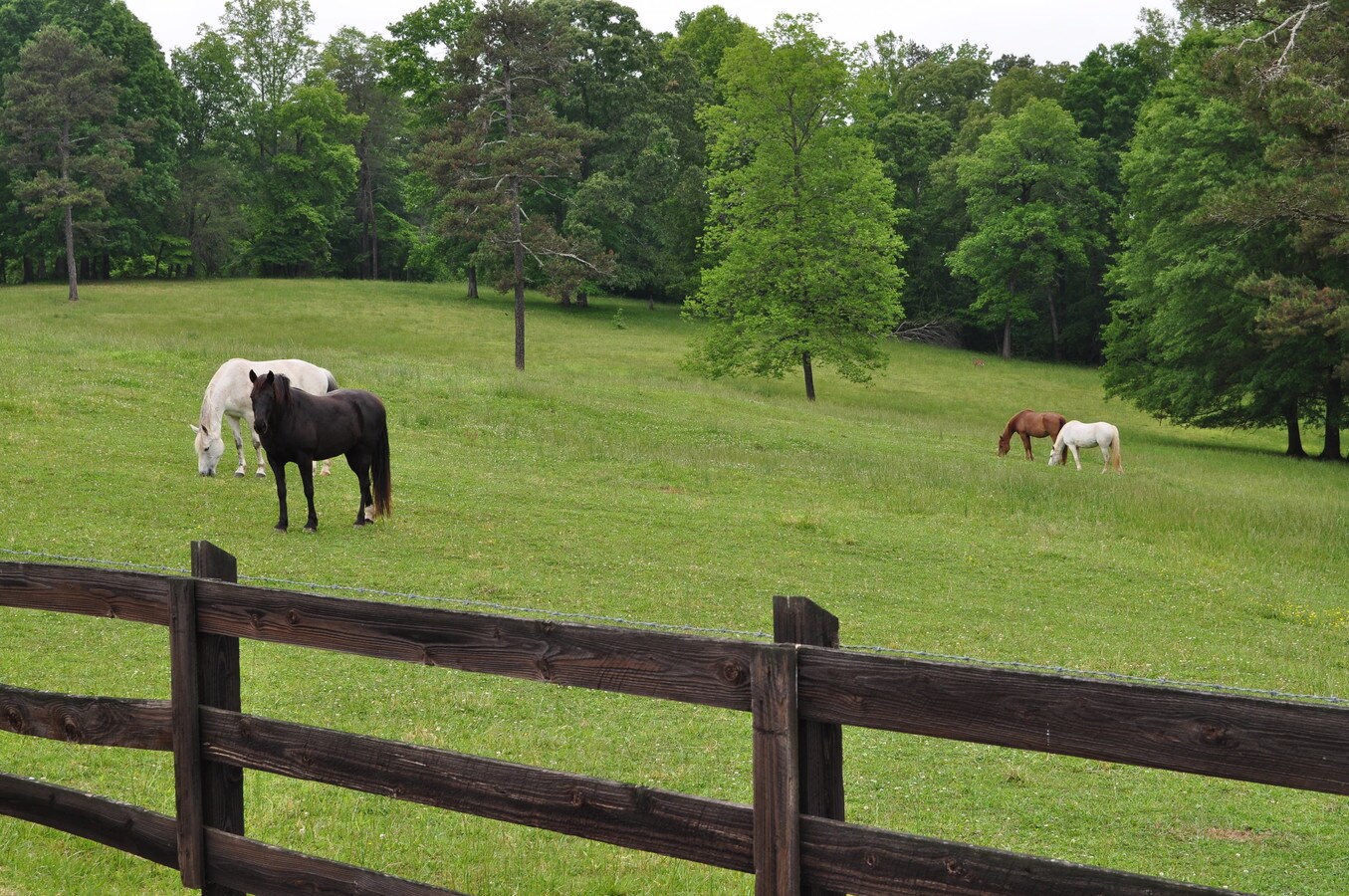 6701 Yellow Creek Rd, Murrayville, GA 30564