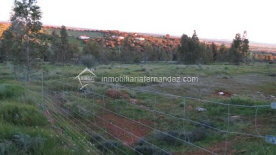 Land in Cáceres for sale - Building Photo - Image 3 of 11