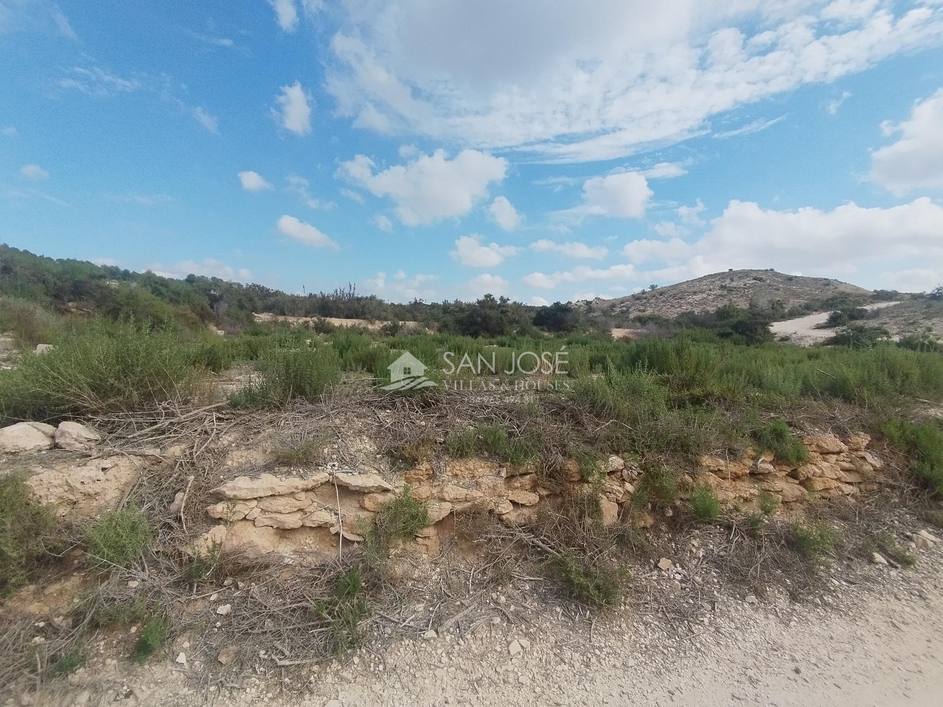 Land in HONDÓN DE LAS NIEVES for sale Building Photo- Image 1 of 7