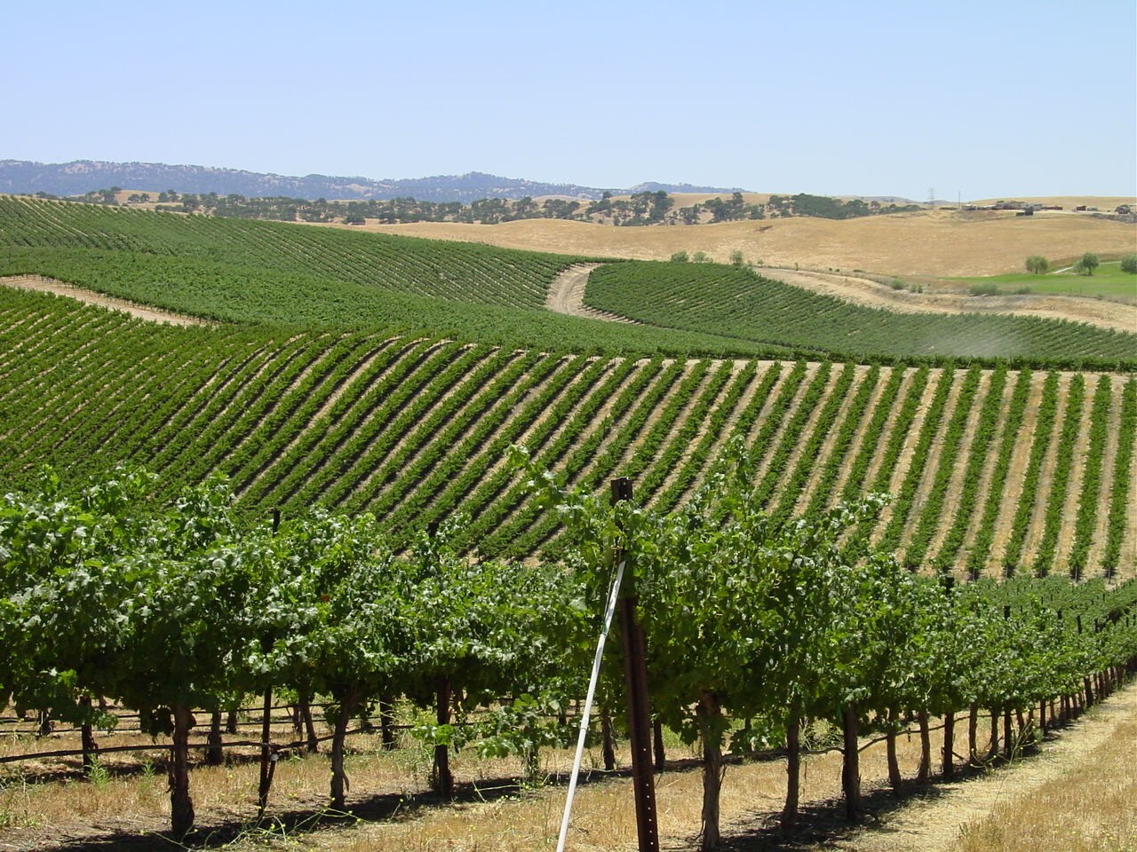 10053 Tesla Rd, Livermore, CA for sale Other- Image 1 of 1